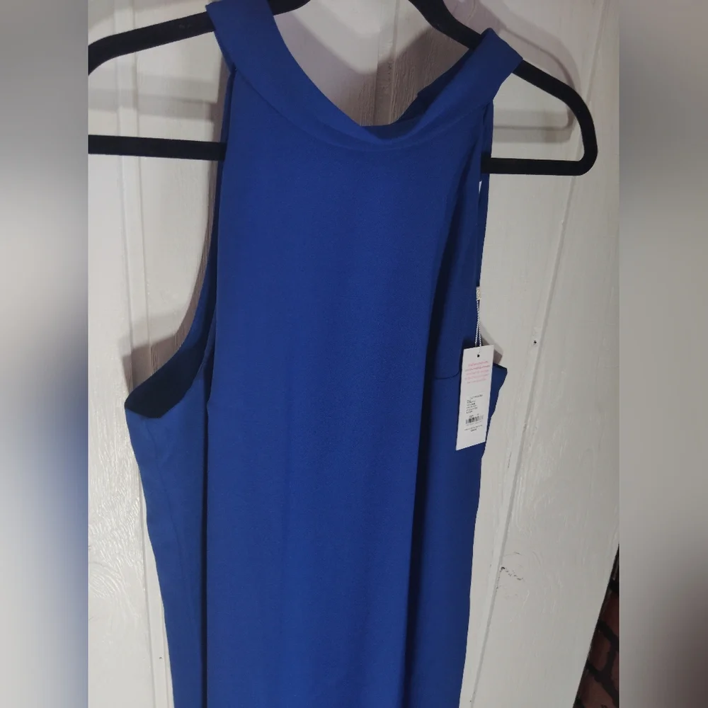 Lilly Pulitzer Cobalt Blue Sleeveless Maxi Dress - Picture 5 of 10